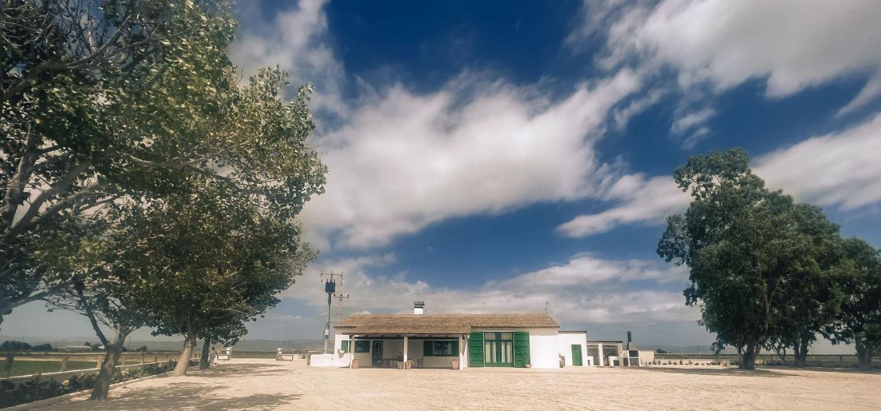 Masia Blanca Deltebre Dış mekan fotoğraf