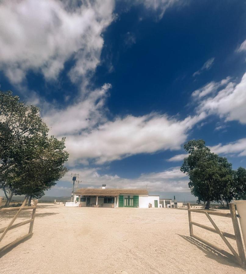 Masia Blanca Deltebre Dış mekan fotoğraf