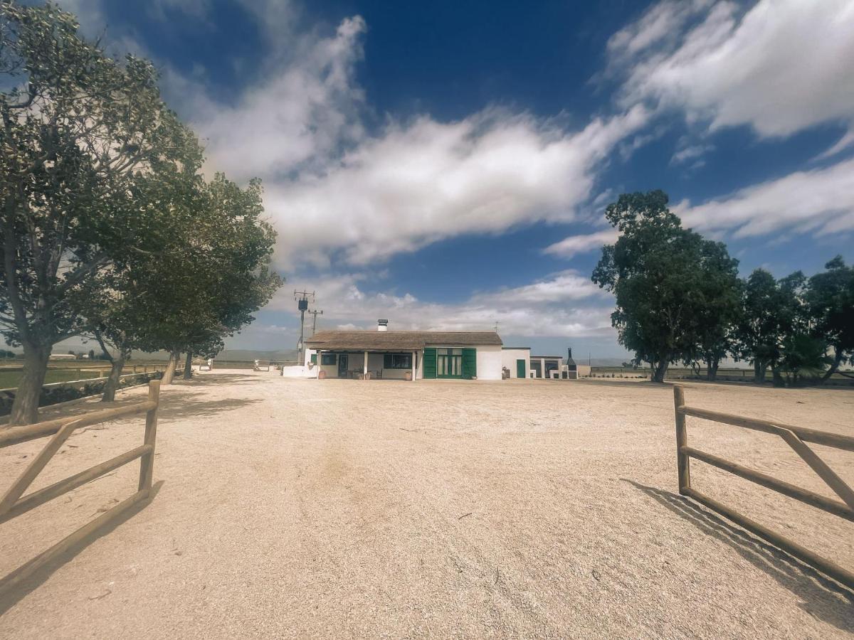 Masia Blanca Deltebre Dış mekan fotoğraf